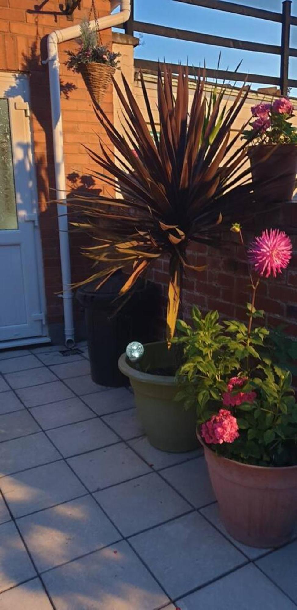 Ferienwohnung Cosy Corner - Town Centre Flat With Free Nearby Parking Shrewsbury Exterior foto